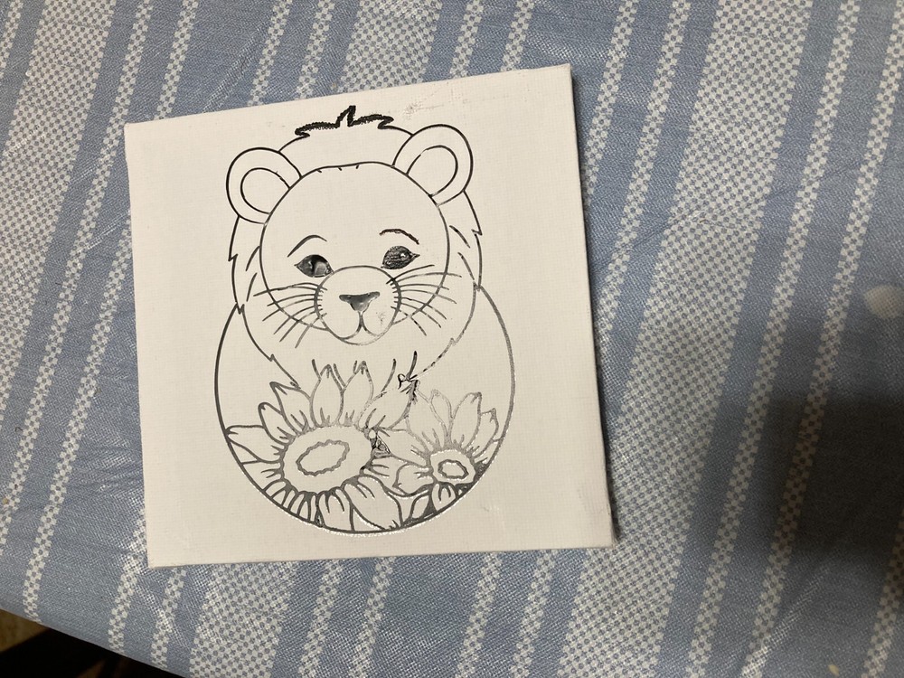 Canvas Paintable Set with paint & brush