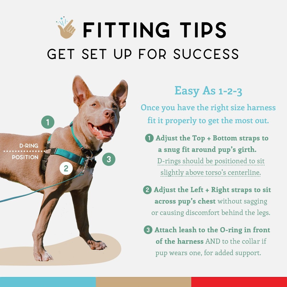 No Pull Dog Harness | Comfortable Training Harnesses | Effective No Pull Harn...