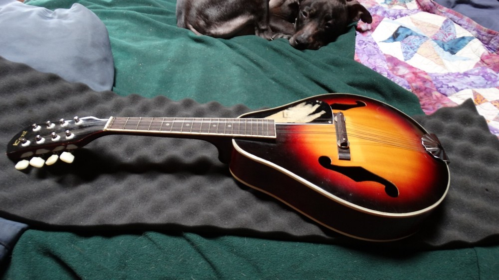 kent mandolin