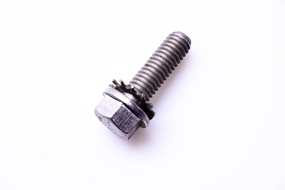 OMC 310406 Screw NOS