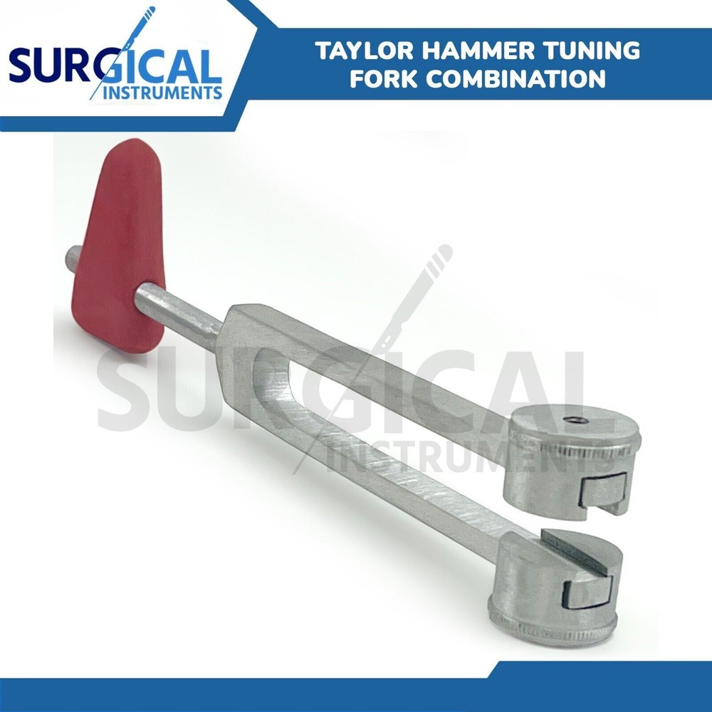 Taylor Hammer Tuning Fork Combination