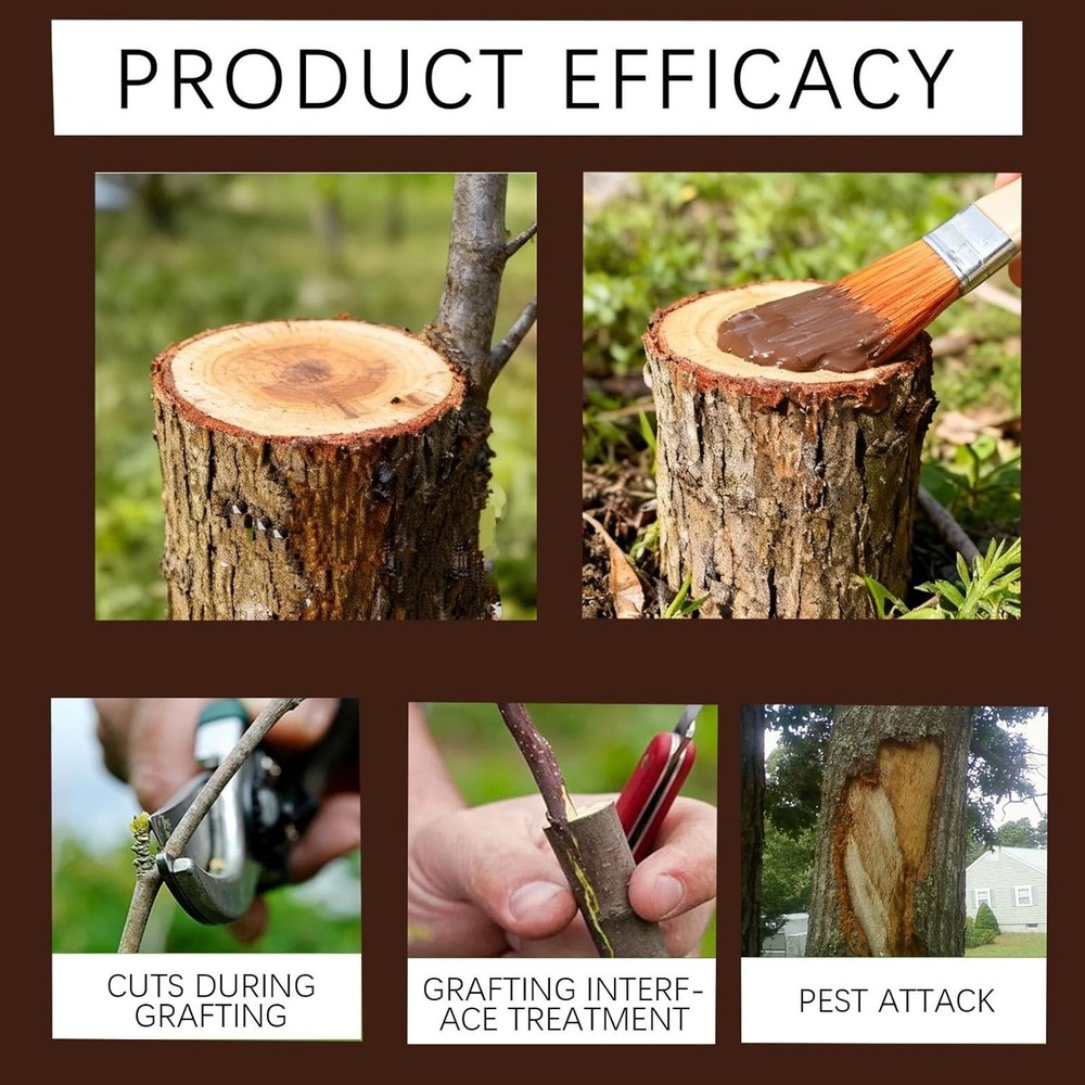 Tree Wound Pruning Sealer 100g Bonsai Cut Paste with Brush Dressing