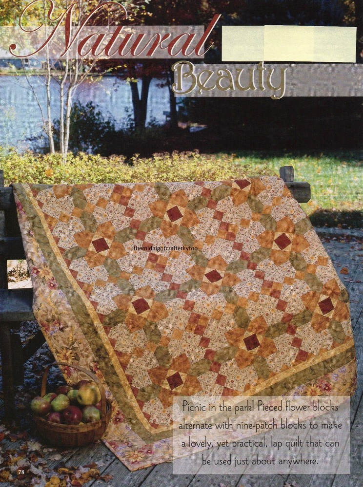 Natural Beauty Quilt Pattern Pieced LF