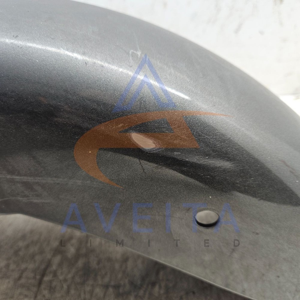 DAELIM VL 125 DAYSTAR 2014 Front Mudguard