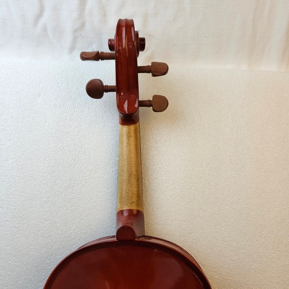 Student Violin w/ Case Bow Rosin String Cheek Rest 4/4 Size