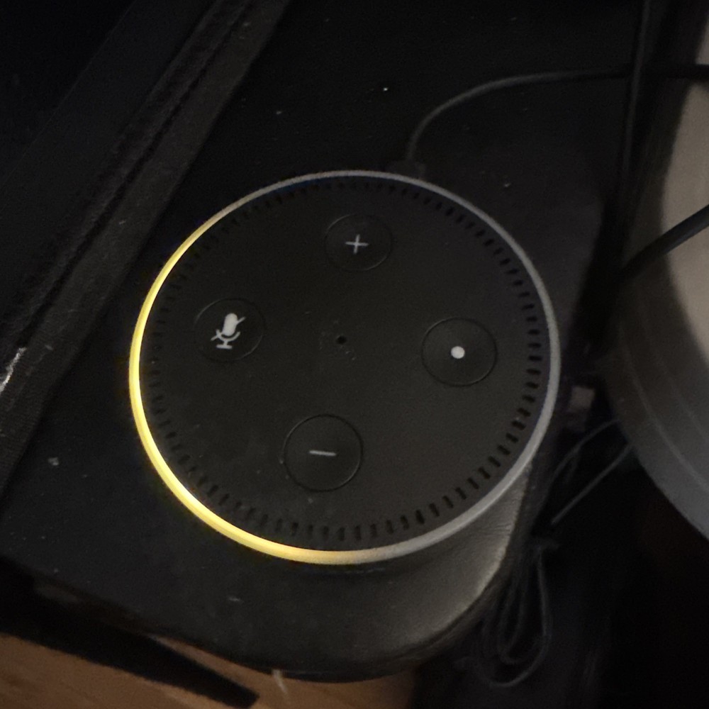 2 Amazon Echo Dot RS03QR 2nd Gen Black w/ USB Power Cable & Plug Tested/Working