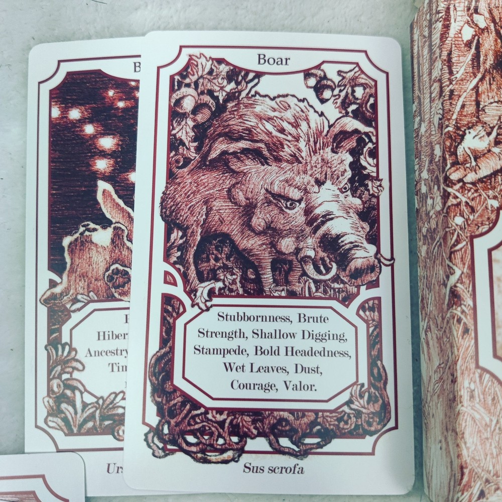 Creatures' Secrets Animal Divination Cards