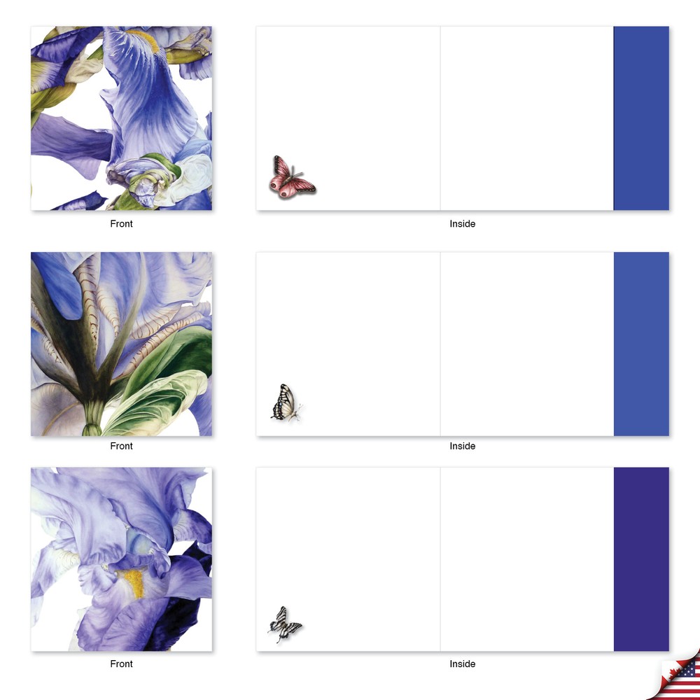 10 Assorted All Occasion Blank Note Cards Pack - Iridescent Iris