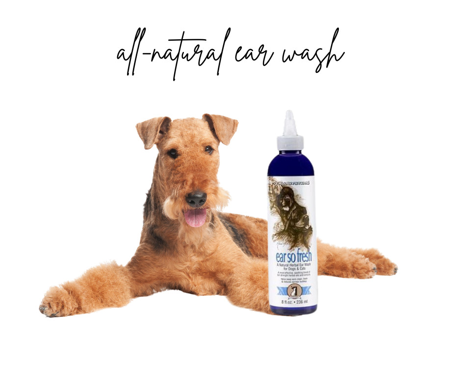 #1 ALL SYSTEMS EAR SO FRESH HERBAL EAR WASH