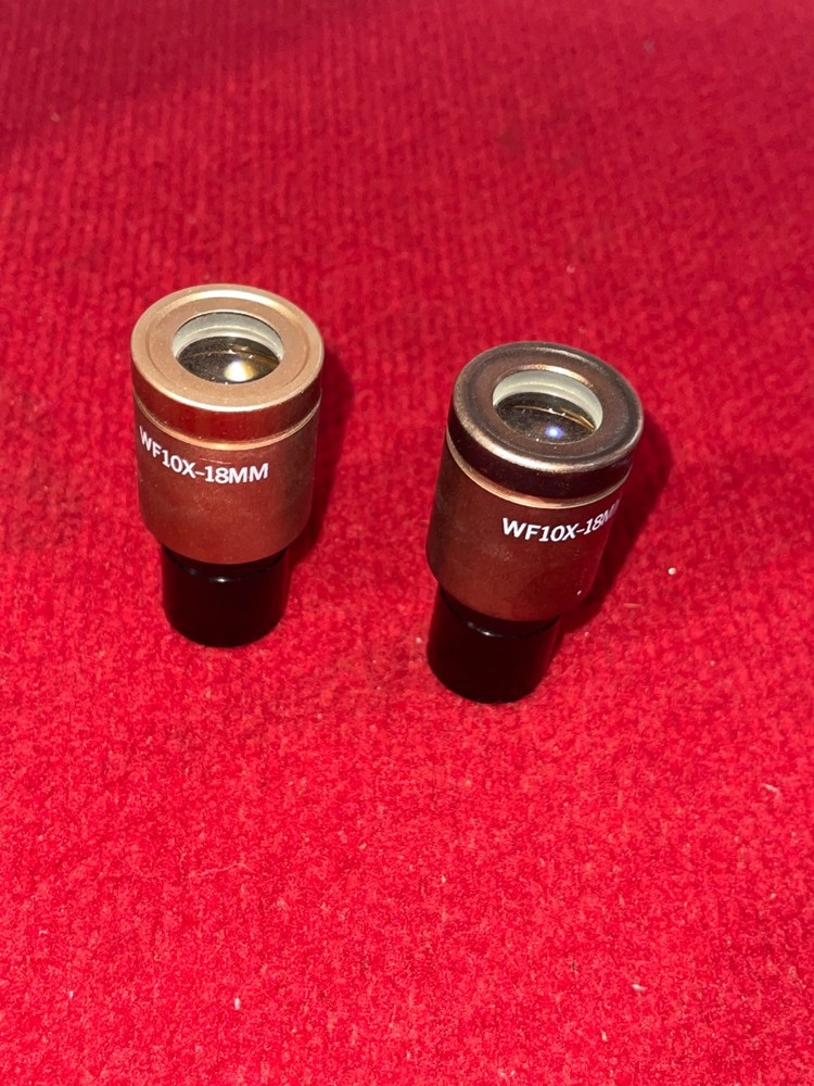 One Pair Microscope Eyepieces WF10X -18MM