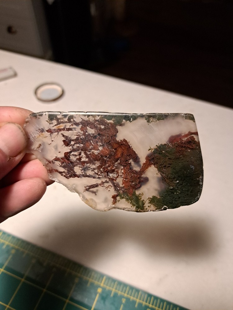 Moss agate Maury Mountain