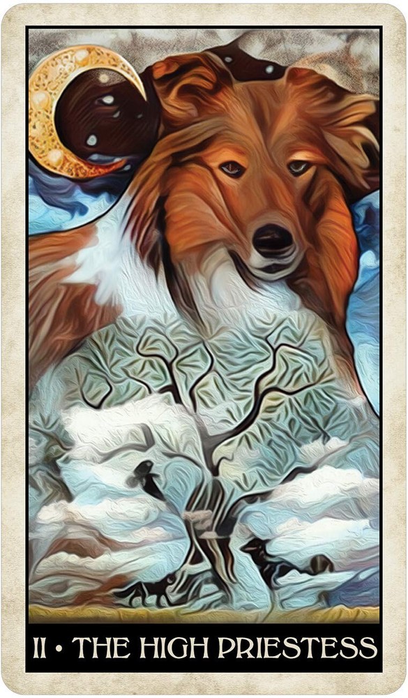 Wise Dog Tarot Card Deck!