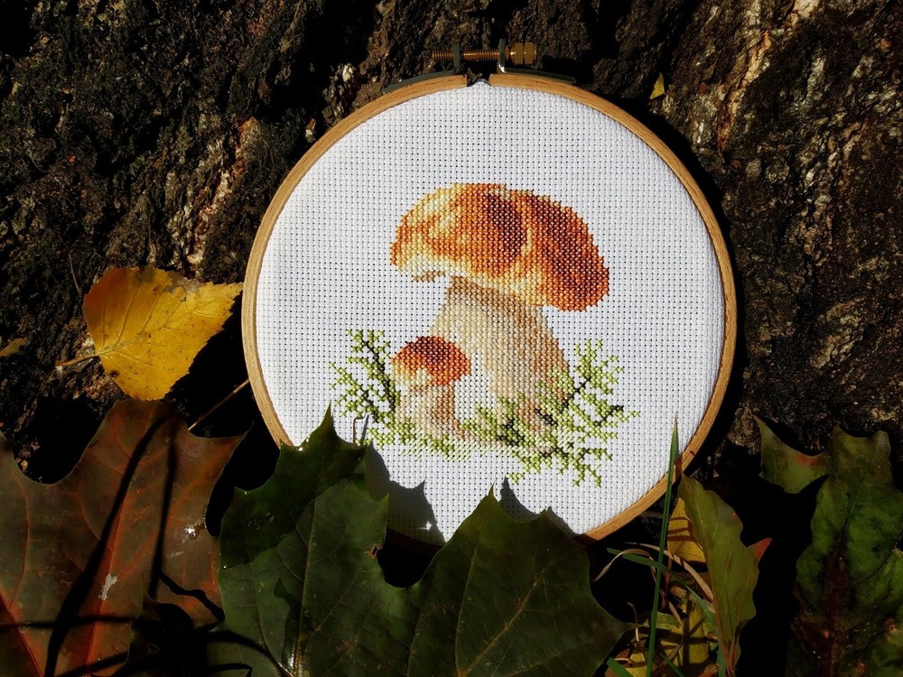 "King bolete" Unprinted Needlework Kit 0-144 Alisa