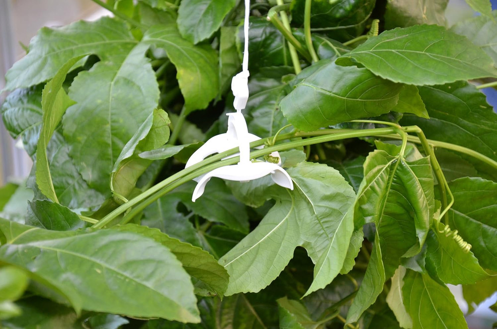 - Canopia Trellising Kit Pro for Canopia Greenhouses