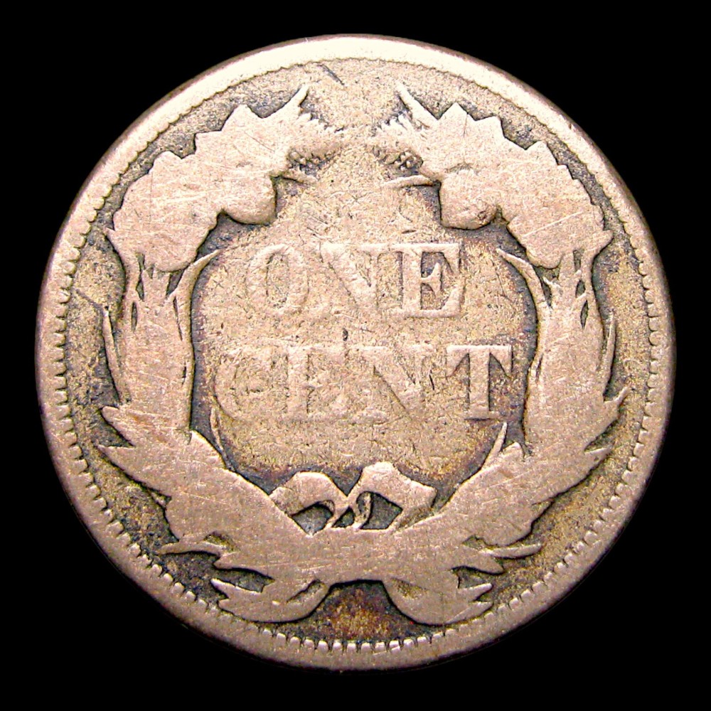 1858 Flying Eagle Cent Penny ---- Nice Coin ---- #372E