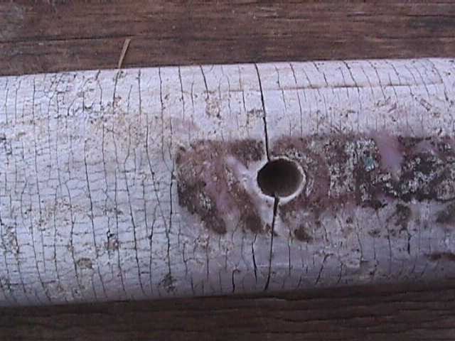 Double Bit AXE DECOR YOU RESTORE