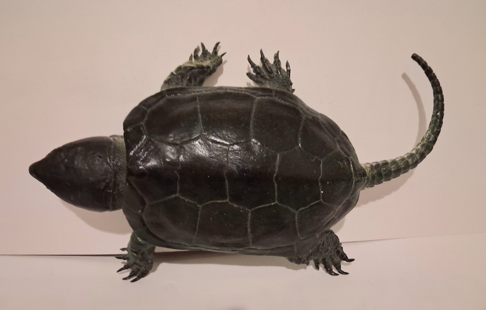 AAA Realistic PVC Big Headed/Snapping Turtle