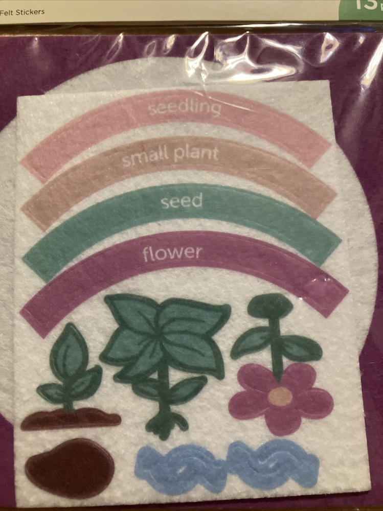 Lifecycle Activity Kit 13 Felt Pieces