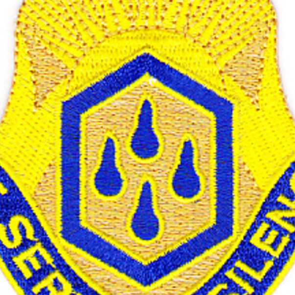 464th Chemical Battalion Patch