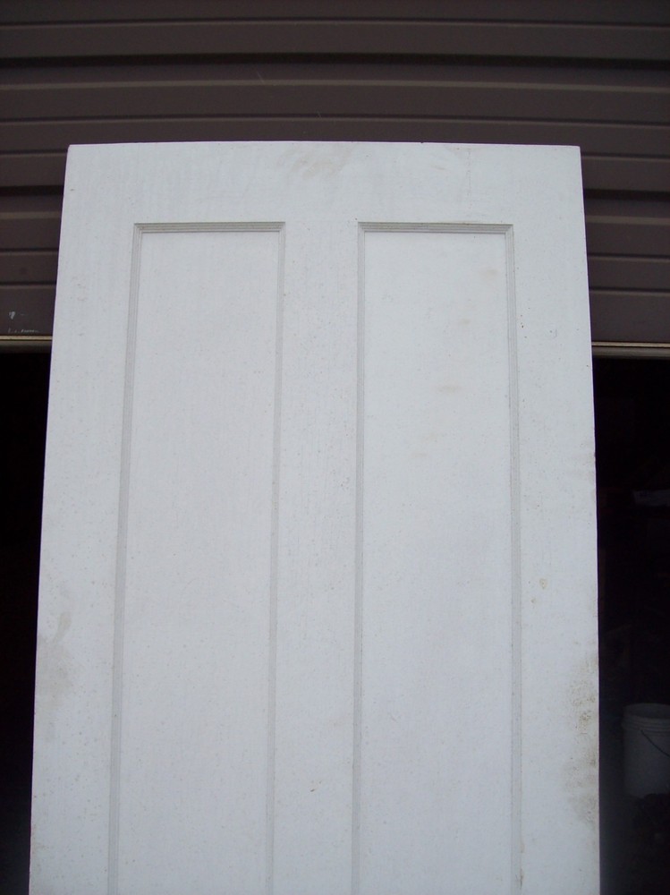 Single painted vertical panel door (D j)