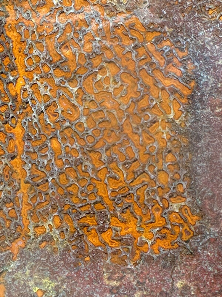 Dinosaur bone rough **hxtled large slab.