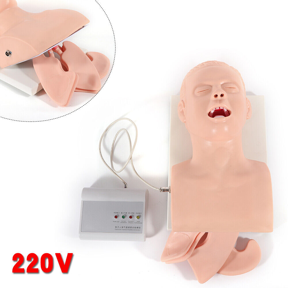 Intubation Manikin Study Teaching Simulator Airway Management Trainer Tool Model