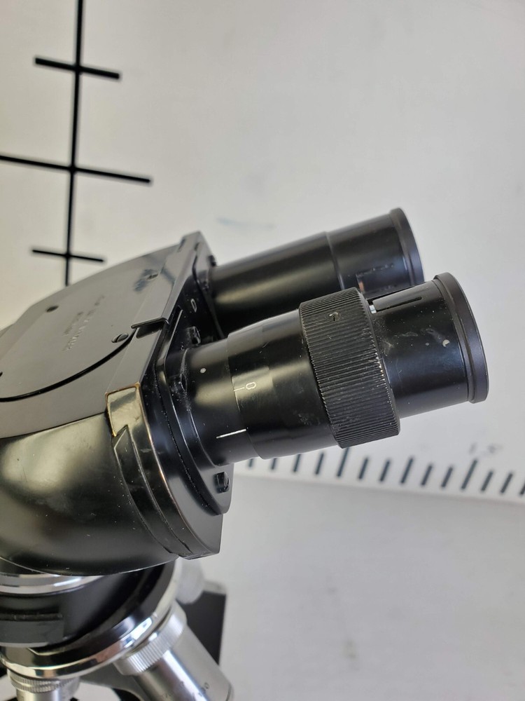 Vintage Leitz Wetzlar Binocular Microscope 736143 w/ 4 Objectives