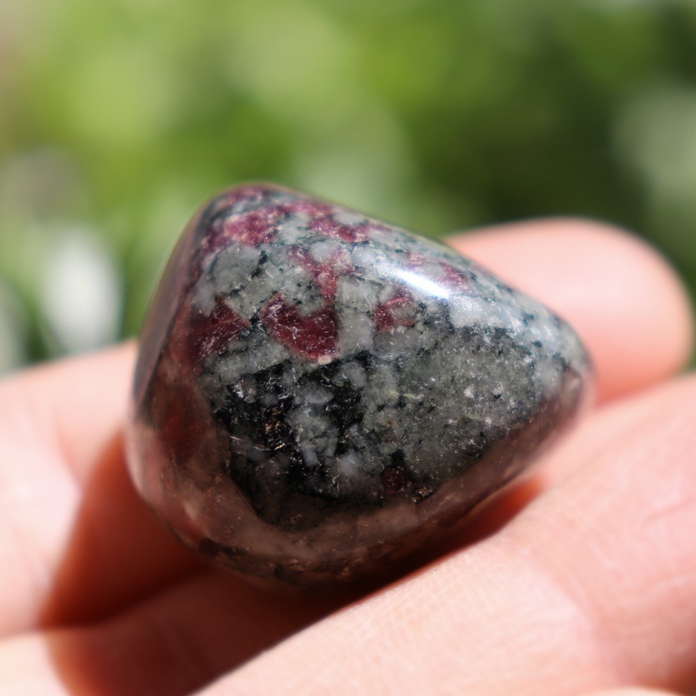 Polished Eudialyte, Fluorescent Mineral (EUD23)