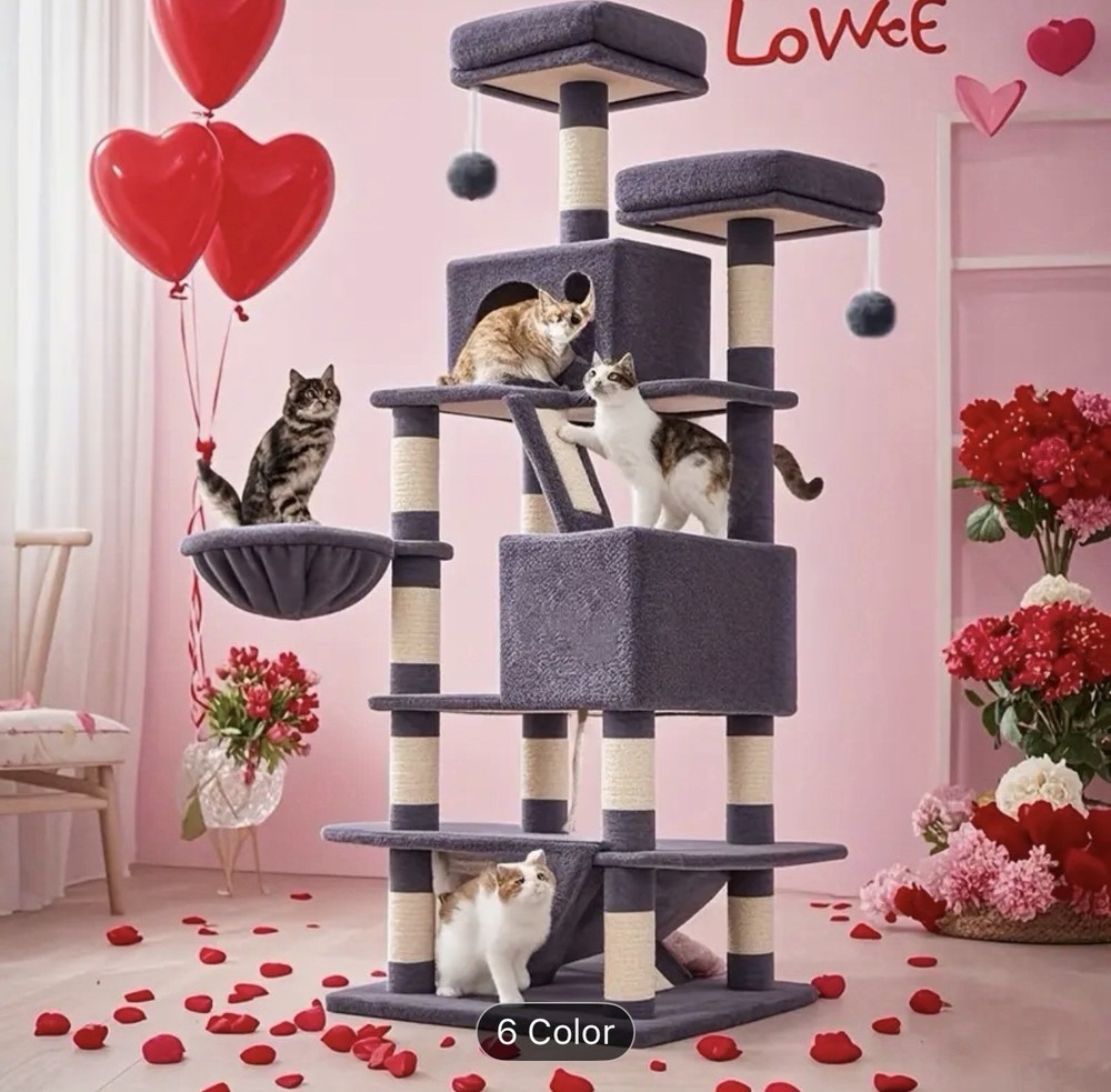 Cat Home