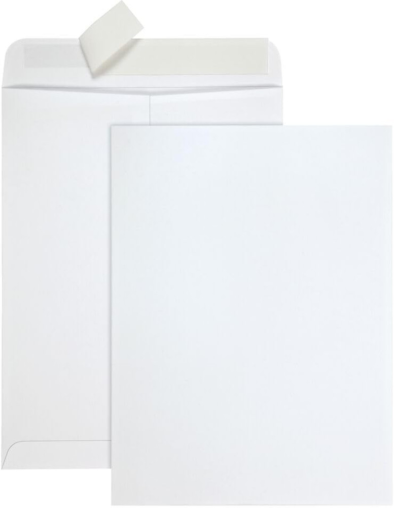 9 X 12 Catalog Envelopes, 100 Pack, Document Envelopes with Self Seal Closure, H