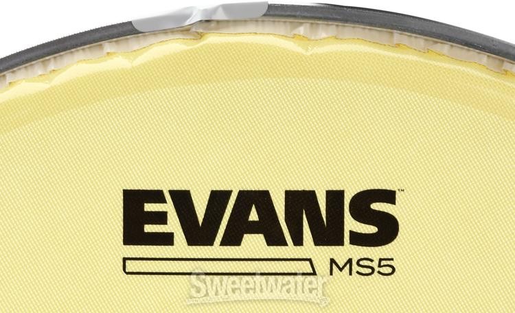 Evans MS5 Marching Snare Side Drumhead - 13 inches