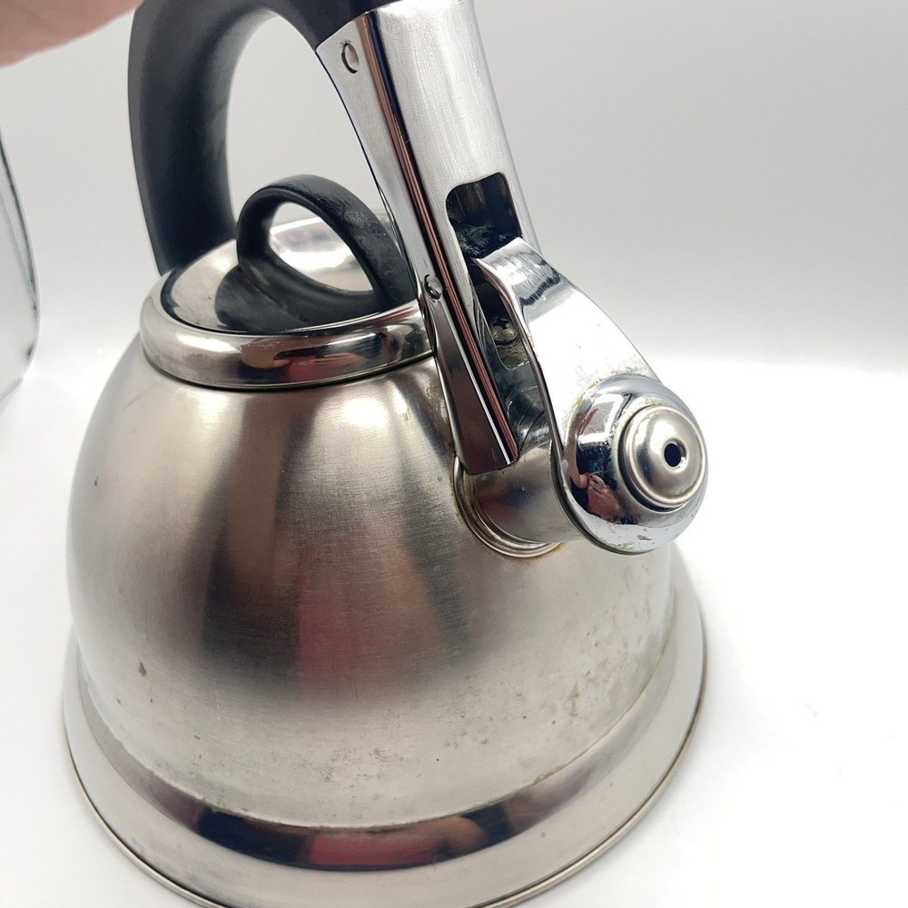 Pykal Stainless Whistling Tea Kettle Designed In Germany