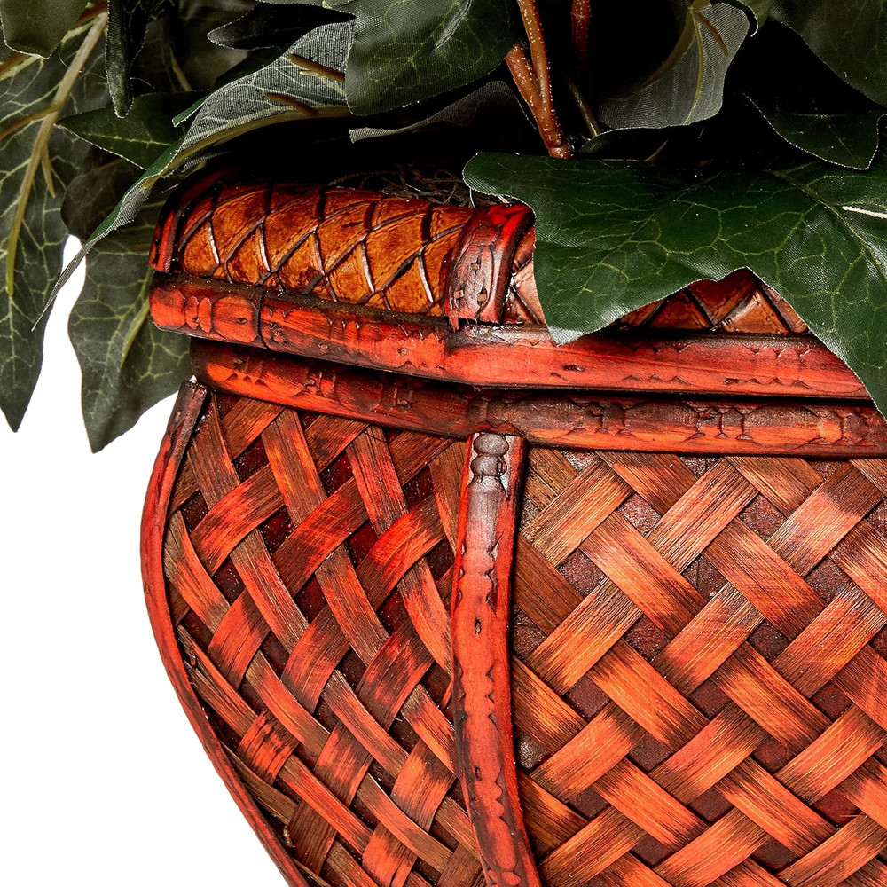 Dieffenbachia & Ivy with Decorative Planter
