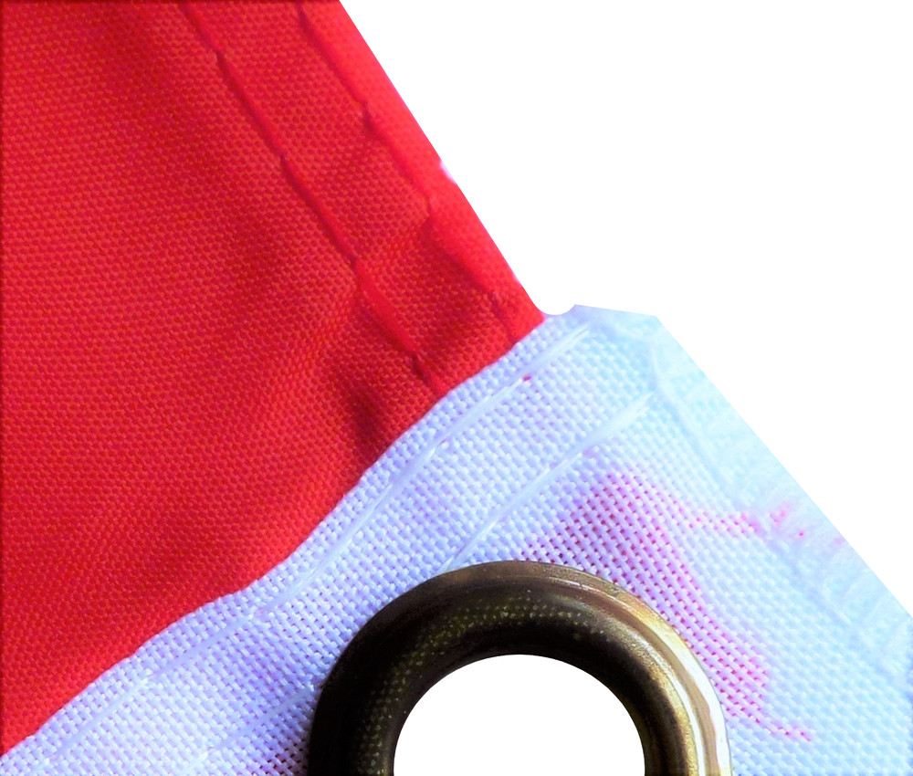 Prince William and Kate Polyester 5'x3' Flag