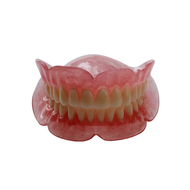 Denture Model for Dental Practice High Quality Lab Training Tool Customizable