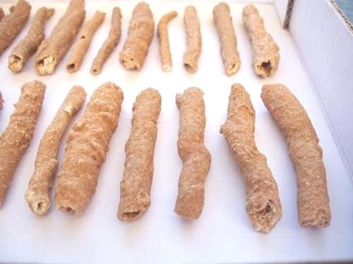FULGURITE Morocco 3.3" Only $16 each! FOSSILIZED LIGHTNING!