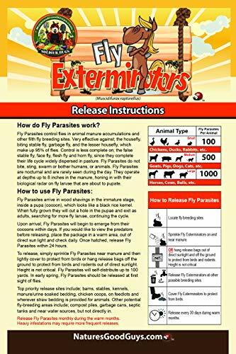 NaturesGoodGuys Fly Exterminator 500 Size