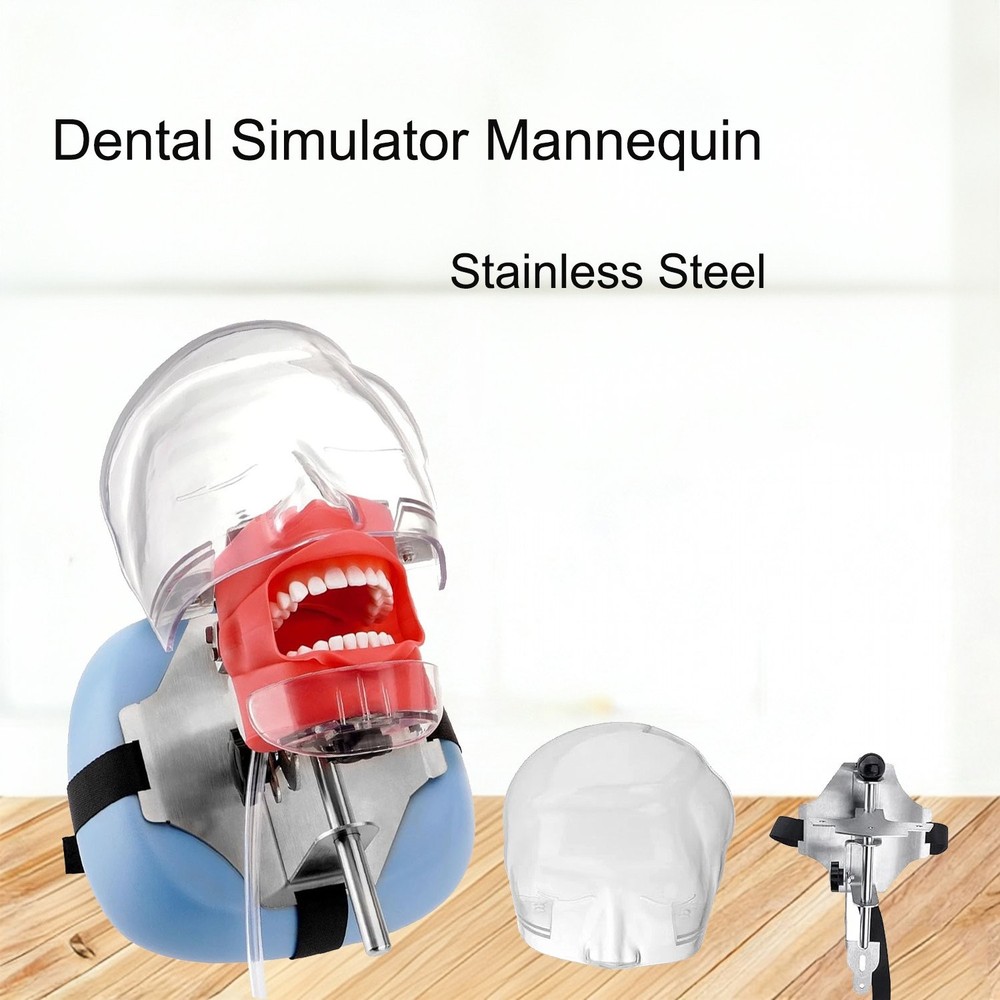 Dental Simulator Mannequin Head Teeth Model Teaching Practicing Head Mold desk
