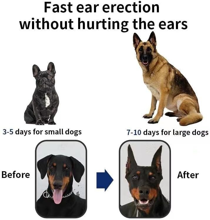 Dog Ear Support Stickers for Doberman Fixing Vertical Holder Correction Tool