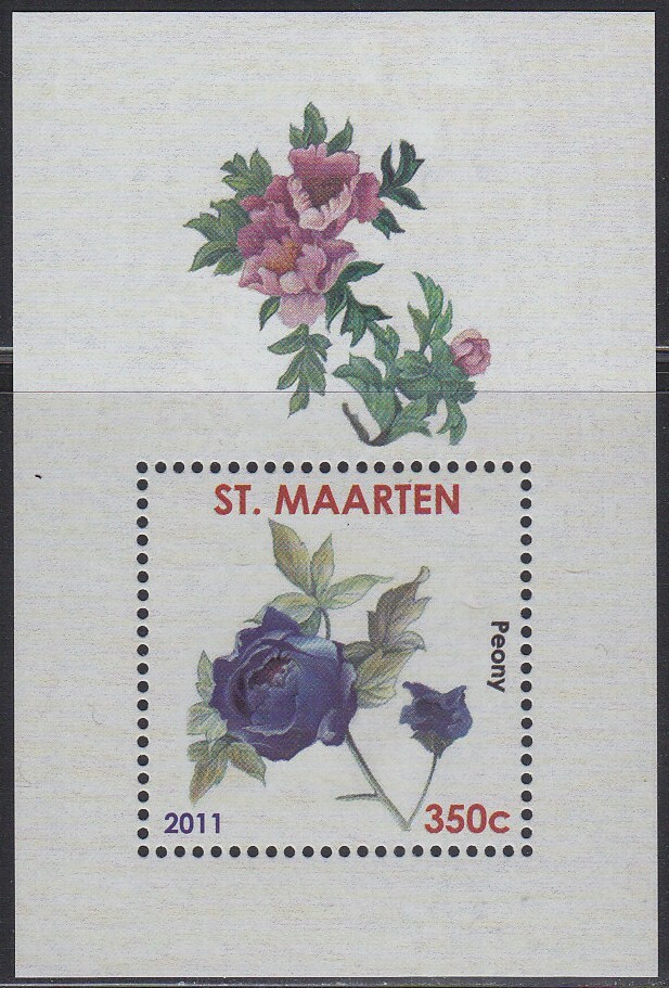 Sint Maarten Issue 2011 (9) Flower