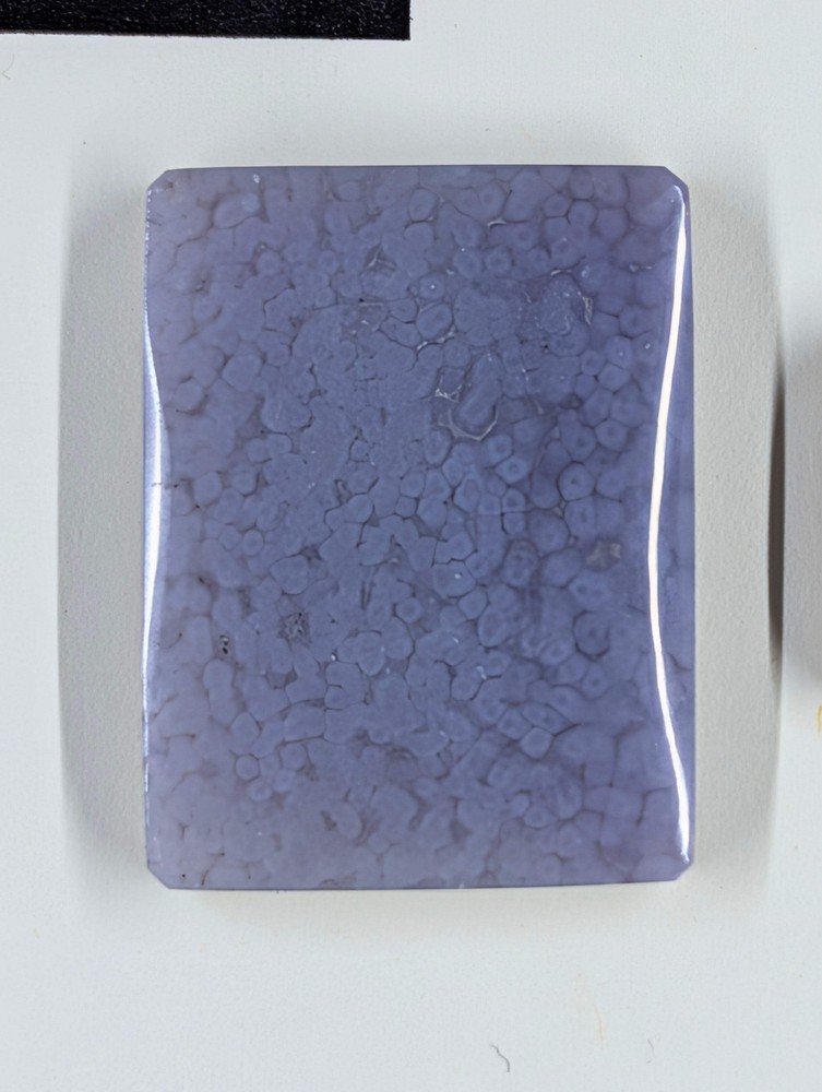 Rectangle Shape - Grape - Design-Ready Set