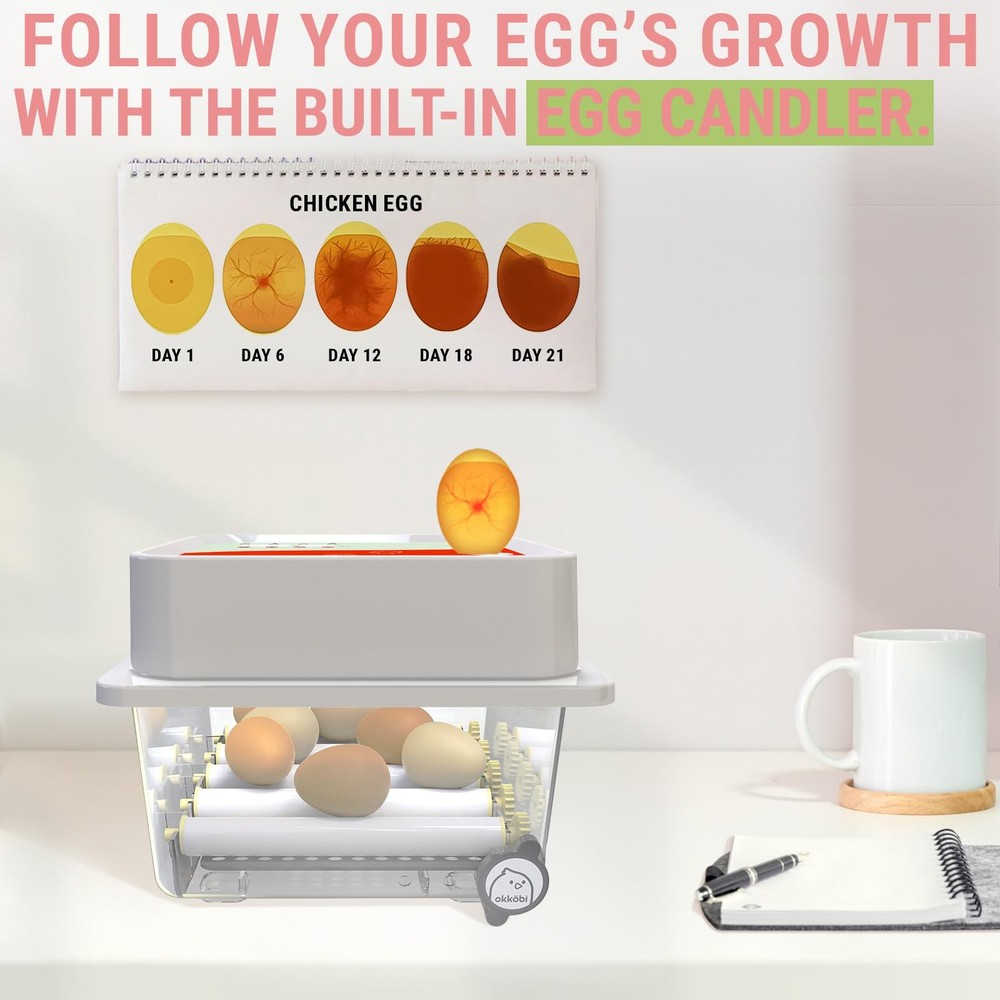 OBI-12 Incubator for Hatching Eggs – 12 Eggs, Easy to Use, Stable Temperature...
