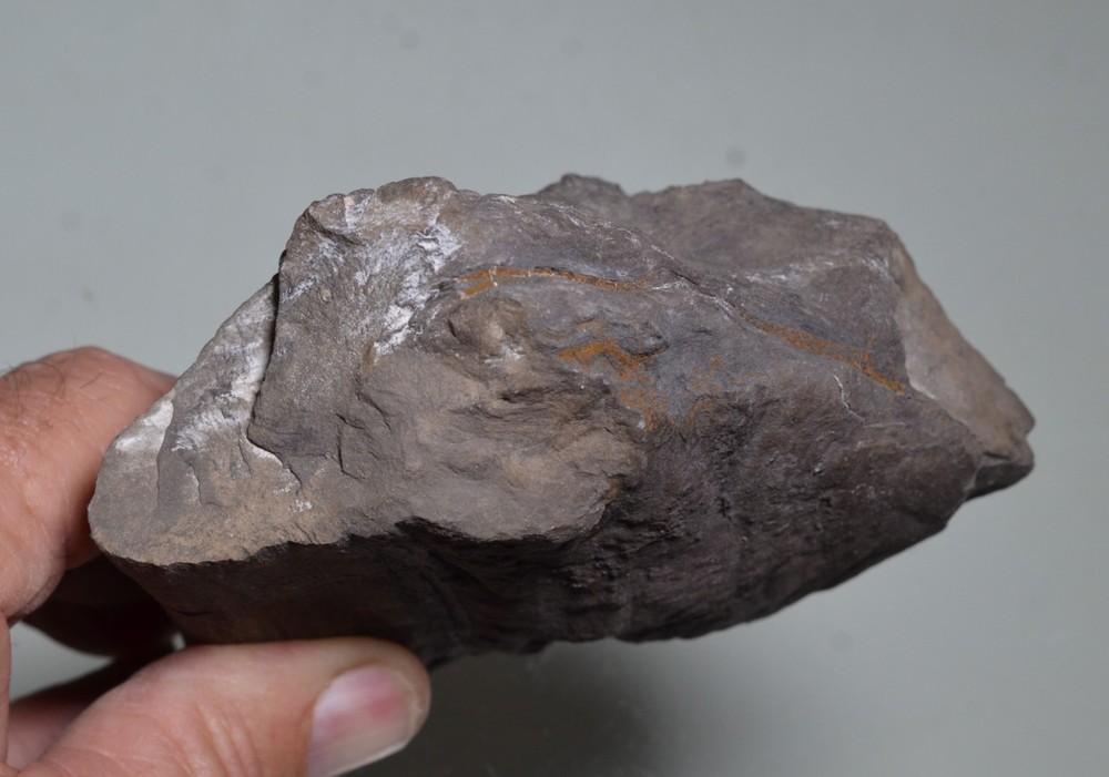 dinosaur bone fossil Utah
