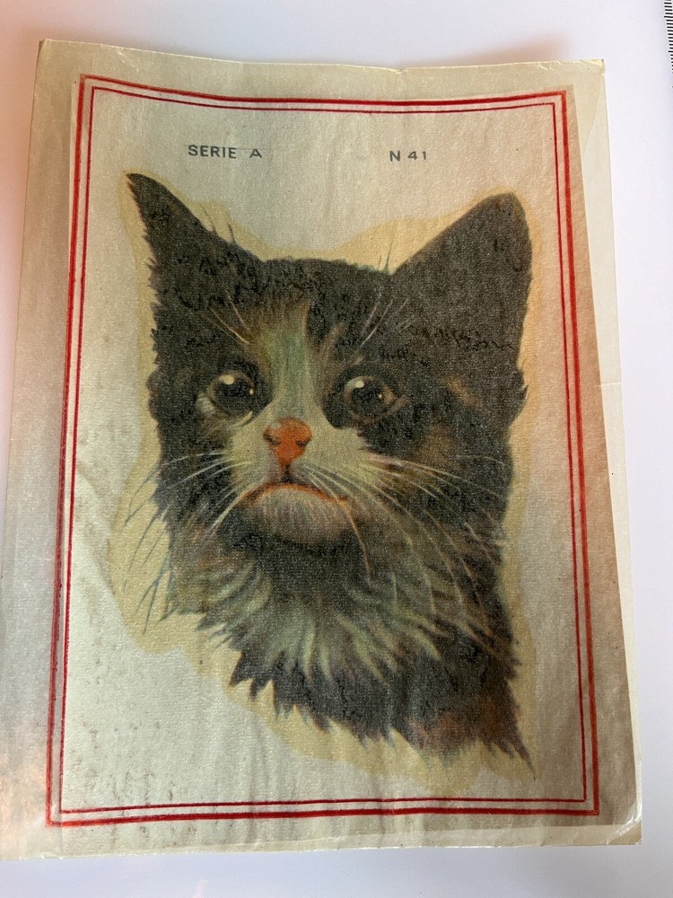 Vintage Water Slide Decals Cat
