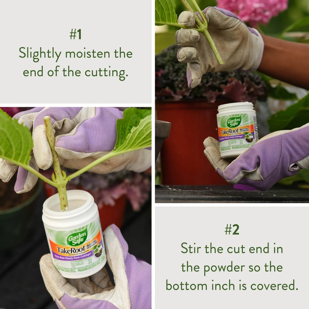 Garden Safe Take Root Rooting Hormone, 2-Ounce - Free Shipping
