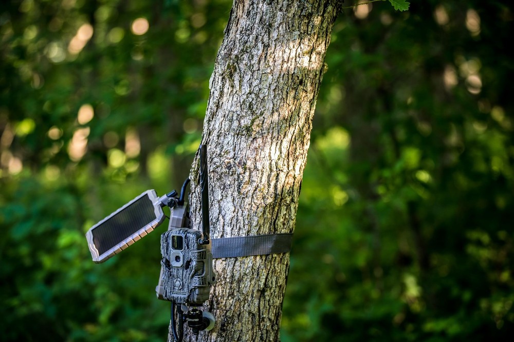 Stealth CAM Durable Sol-Pak Solar Battery Pack, 12V Solar Power Panel