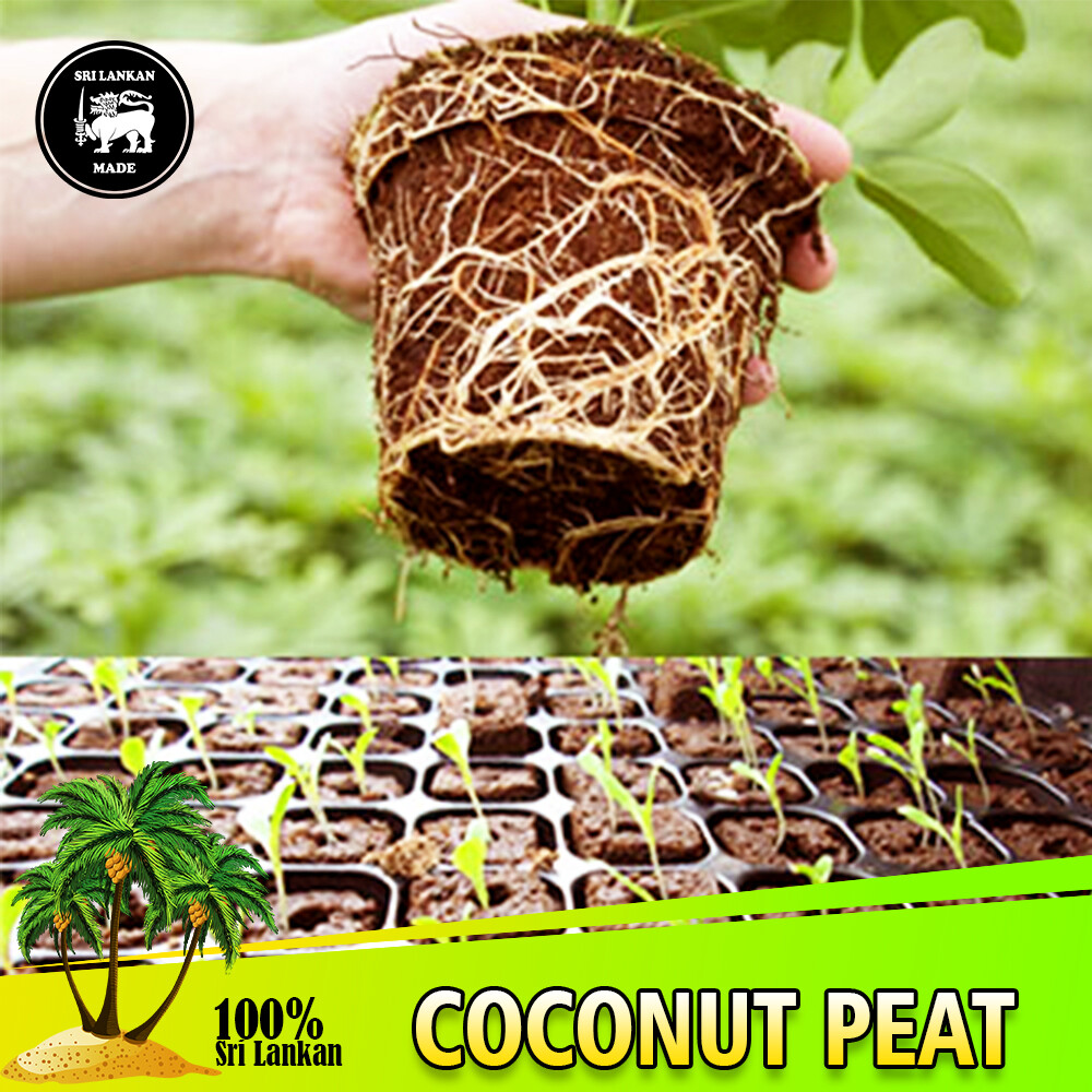 Coco Peat Coir Pith Compost Hydroponic Organic Dry Natural Growing Media Soil