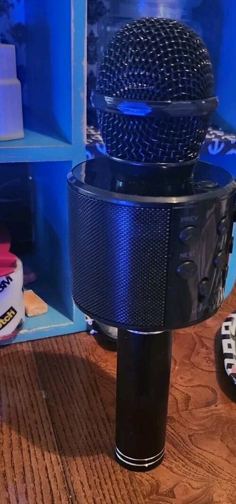 Family Game Night Microphone, Rechargeable