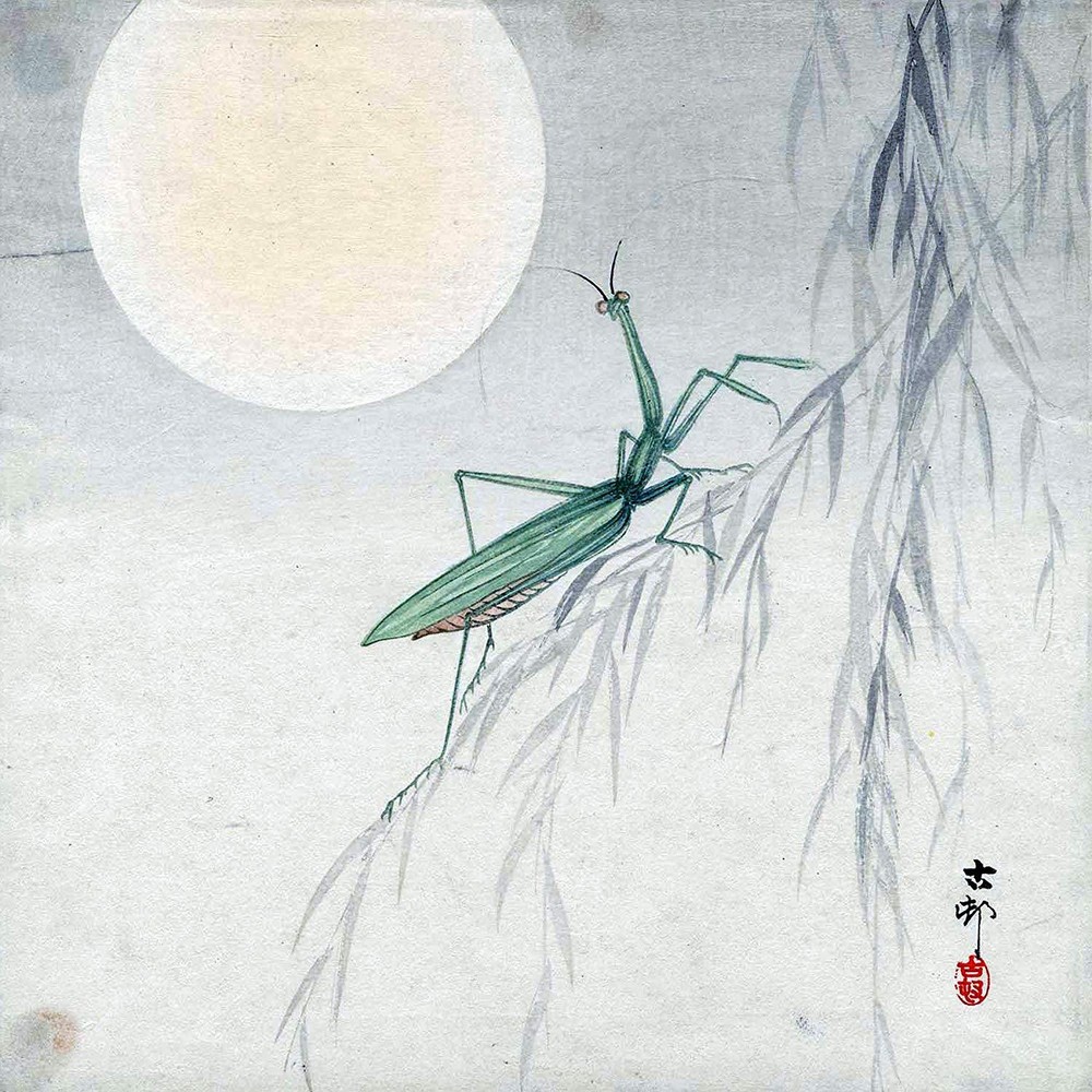 Japan Full Moon Mantis Ohara Koson Tile Mural Kitchen Backsplash Marble Ceramic