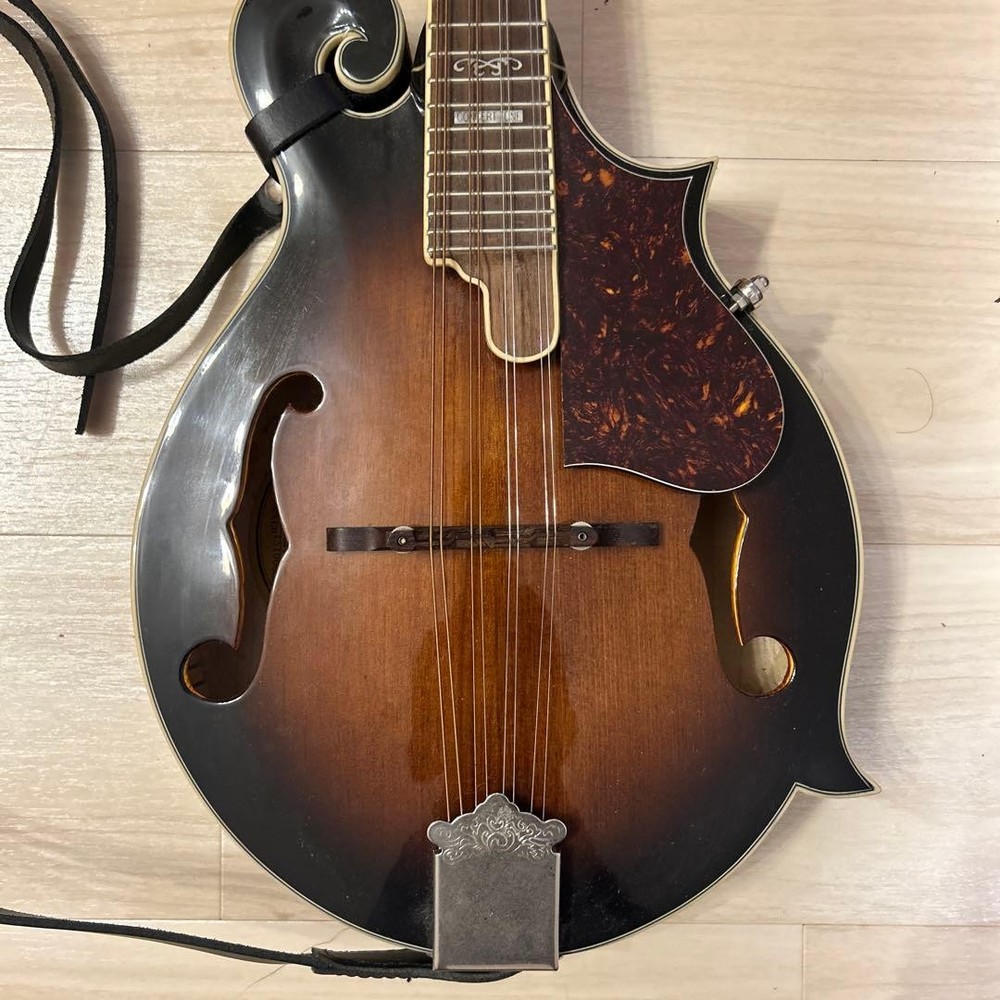 Fender bluegrass mandolin
